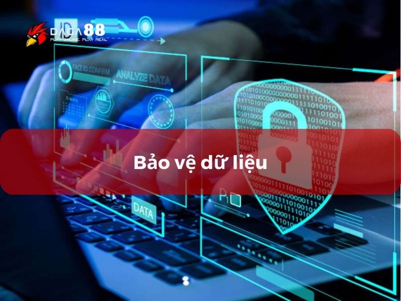 Cam kết nhà cái Đá Gà 88 về bảo vệ dữ liệu thành viên trực tuyến Cam kết nhà cái Đá Gà 88 về bảo vệ dữ liệu thành viên trực tuyến