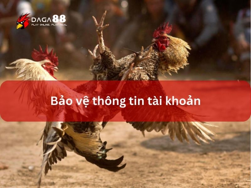 Chơi có trách nhiệm cần bảo vệ thông tin tài khoản nhà cái trực tuyến Chơi có trách nhiệm cần bảo vệ thông tin tài khoản nhà cái trực tuyến