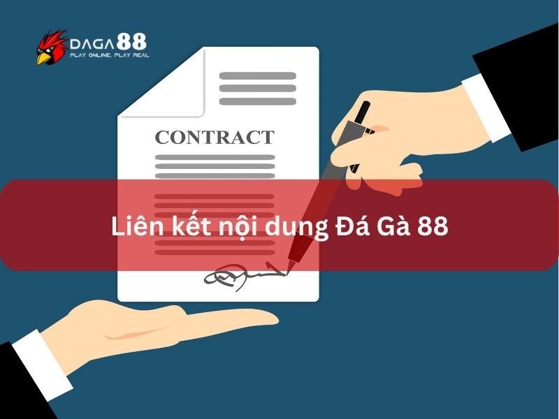 Điều khoản và điều kiện về liên kết nội dung Đá Gà 88 Điều khoản và điều kiện về liên kết nội dung Đá Gà 88