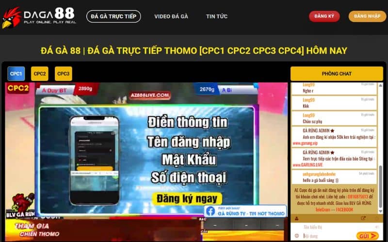 Chọn nhà cái uy tín để đặt cược đá gà mạng Chọn nhà cái uy tín để đặt cược đá gà mạng