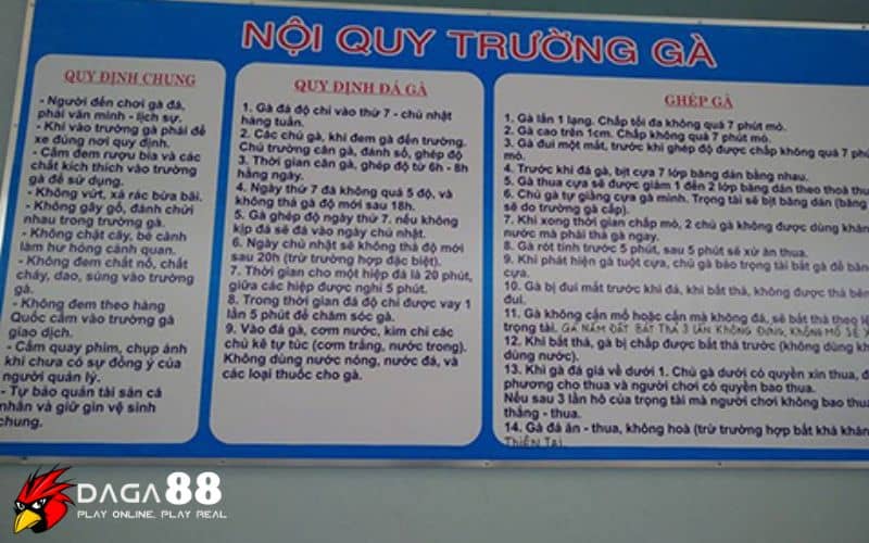 Hiểu rõ luật chơi khi đặt cược đá gà Hiểu rõ luật chơi khi đặt cược đá gà