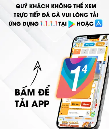 Đá Gà Trực Tiếp huongdan